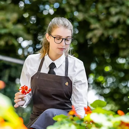 فندق Scheelsminde آلبورغ