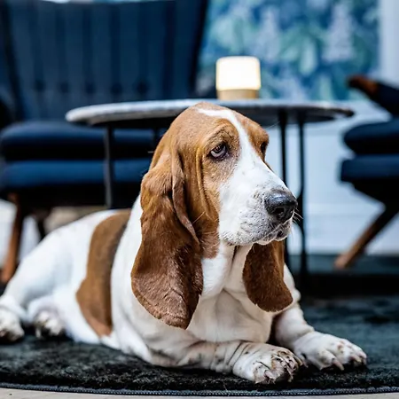 Scheelsminde 4* 奥尔堡