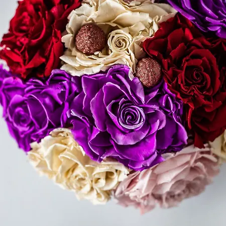 Scheelsminde 4* 奥尔堡