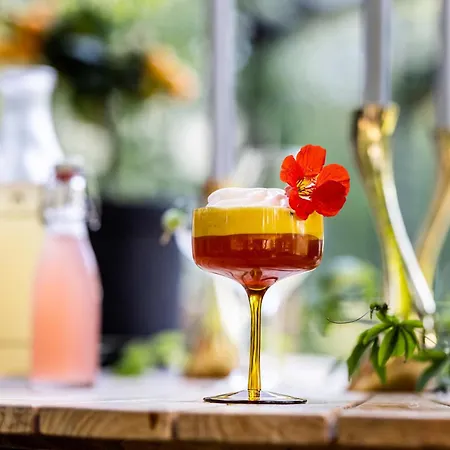 Scheelsminde فندق