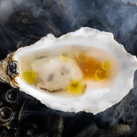 Scheelsminde 酒店 4*