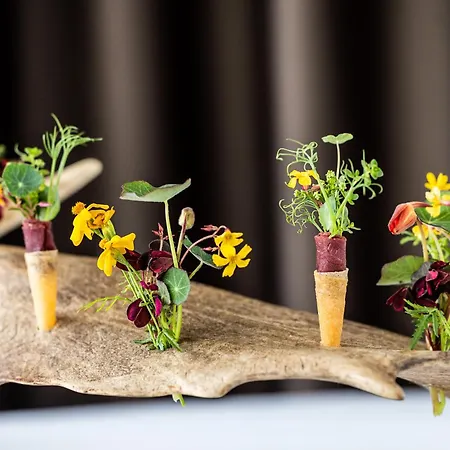 Scheelsminde فندق آلبورغ