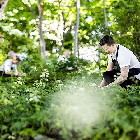 酒店 Scheelsminde 4*