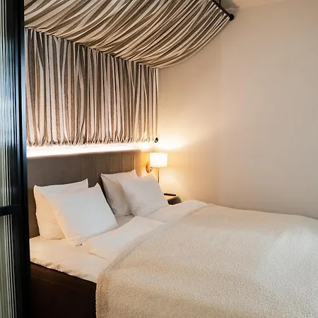 酒店 Scheelsminde 4*