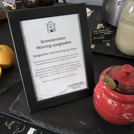 酒店 Scheelsminde 奥尔堡