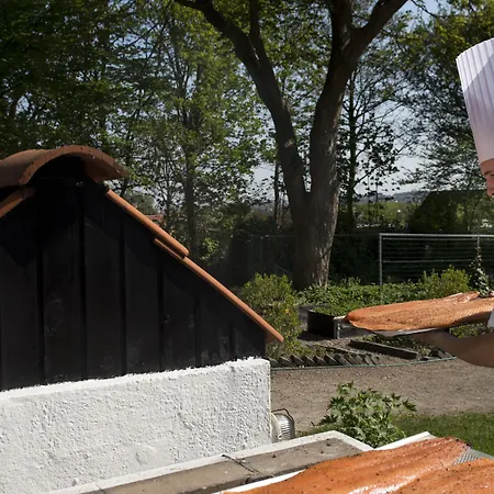 فندق Scheelsminde 4*