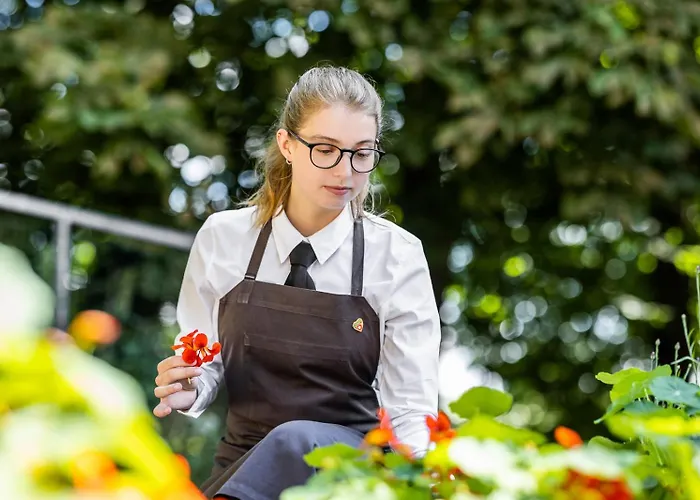 Отель Scheelsminde Ольборг