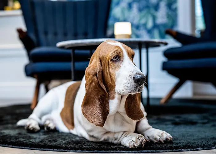 Scheelsminde 4* Aalborg