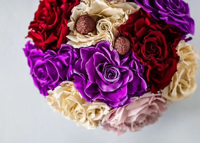 Scheelsminde 4* Ольборг