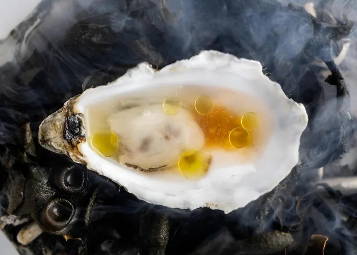 Scheelsminde Hotel 4*