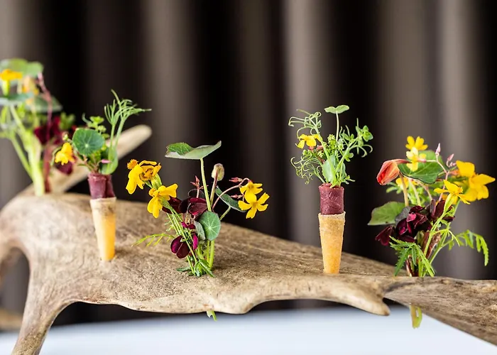 Scheelsminde Hotel Aalborg