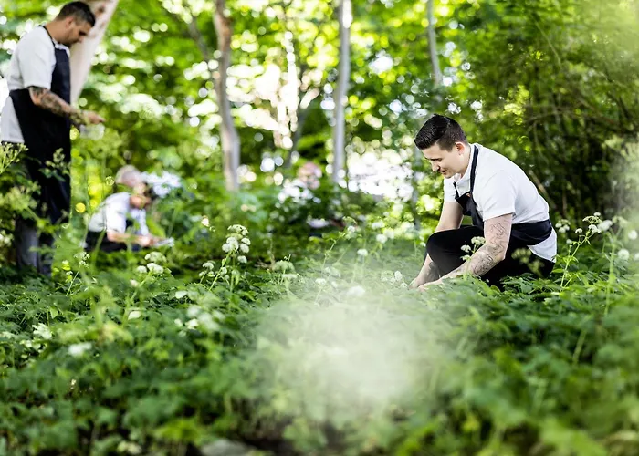 Hotel Scheelsminde 4*