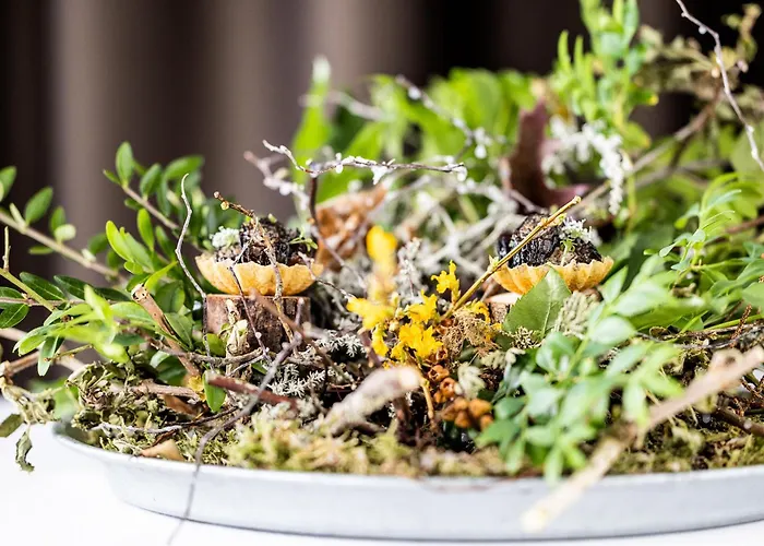 Отель Scheelsminde Ольборг