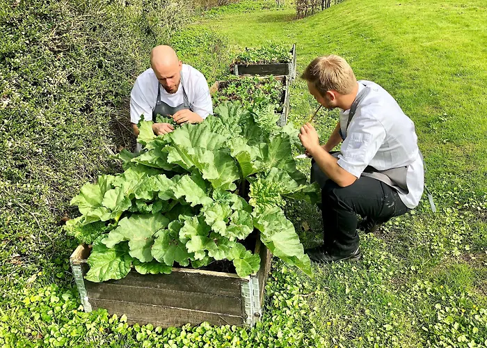 Hotel Scheelsminde 4*