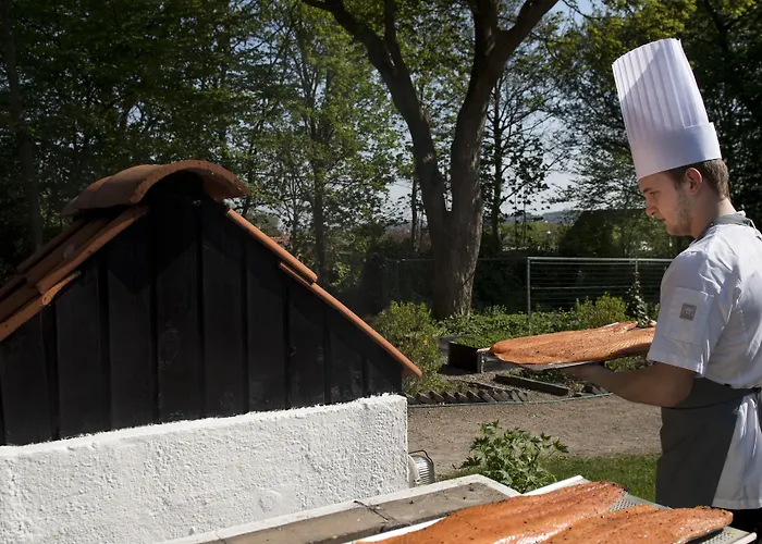 Hotel Scheelsminde 4*